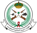 Royal Saudi Land Forces