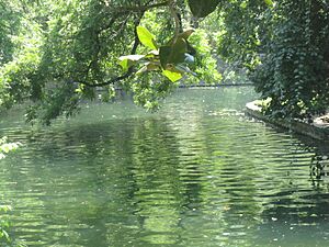 Archivo:San Antonio River at Witte Museum IMG 3155