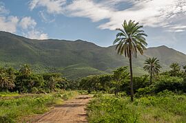 San Juan Valley.jpg