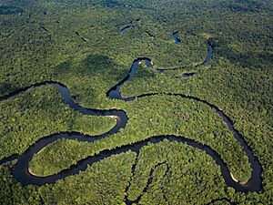 Archivo:Stung Proat Cardamom Mountains