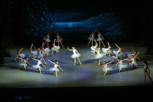 Archivo:Swanlake014