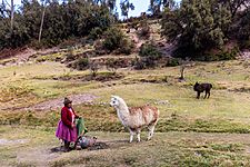 Tambomachay, Cuzco, Perú, 2015-07-31, DD 93