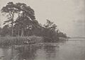 The Haunt of the Pike