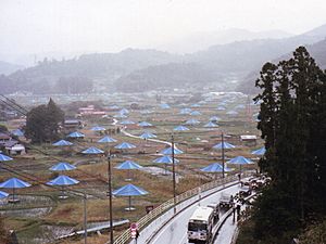 Archivo:Umbrella Project1991 10 27