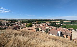 Vista de Hoyales de Roa.jpg