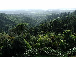 Waitakere Ranges and Henderson Valley.jpg
