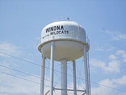 Winona, TX, water tower IMG 5296.JPG