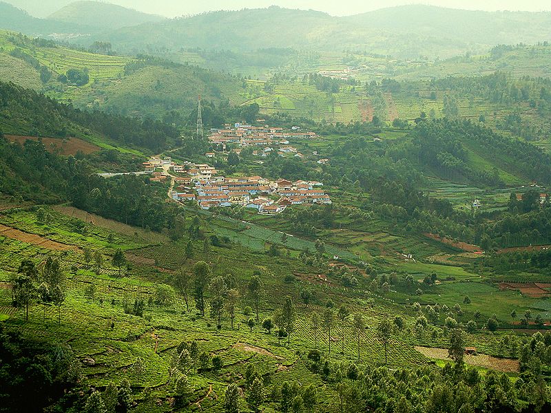 01Kotagiri&ScenicView&Nilgiris&TN