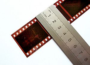 Archivo:135film