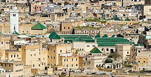 Archivo:29610-Fez (28134041211) (qarawiyyin crop)