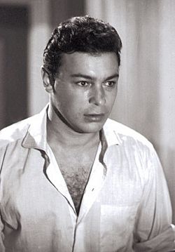 Ahmed Ramzy.jpg