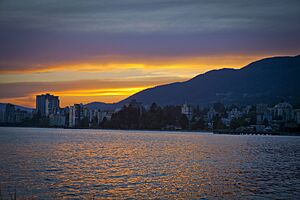 Archivo:Ambleside Park on May 18th, 2015 (17886482995)