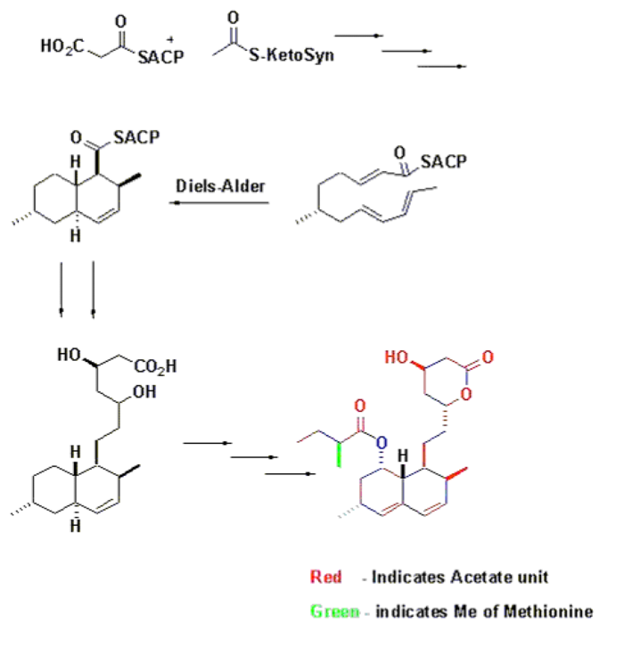 Biosynthesis-dielsalder.png