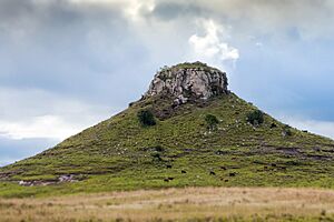 Cerro Batoví (26055598336).jpg