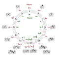 Circle of fifths deluxe 4-ES