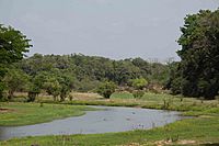 Archivo:Comoe river with wetlands