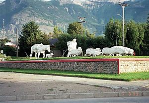 Archivo:Coyhaique - Monumento al ovejero