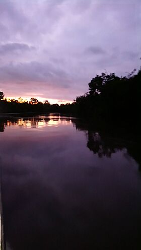 Crepúsculo en el parque Natural Sanquianga.jpg