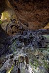 Cueva de las Calaveras, Benidoleig, Alicante, España, 2022-08-14, DD 39-41 HDR