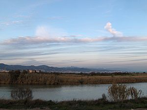 Archivo:Desembocadura del Guadalhorce at dusk 08