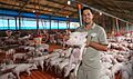 Encontro de Cadeias Produtivas termina com inauguração do Frigorífico Dom Porquito (22818192843)