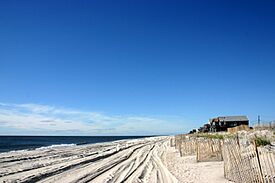 Fire Island Ocean Beach 03.jpg