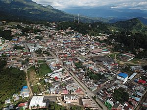 Archivo:Foto Aérea Casco Urbano