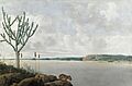 Frans Post 001