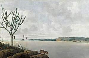 Archivo:Frans Post 001