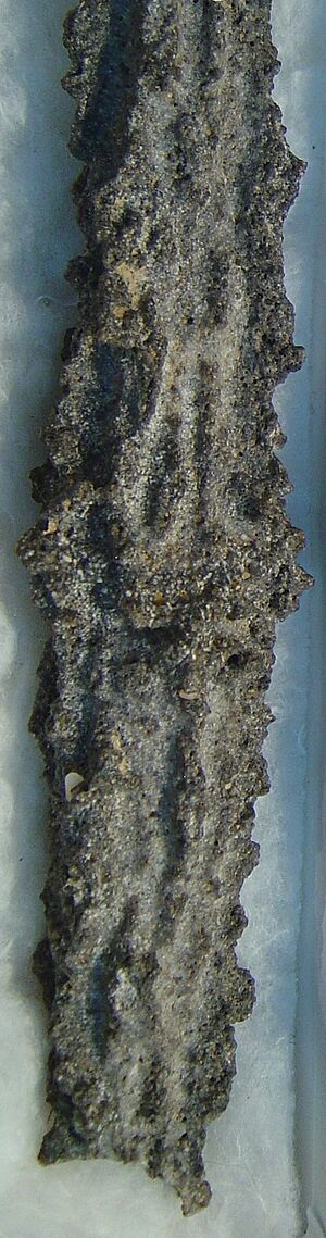 Archivo:Fulgurite1