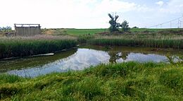Archivo:Grijota - Canal de Castilla, bifurcación de los ramales Sur (izquierda), Norte (derecha) y de Campos (centro) en El Serrón