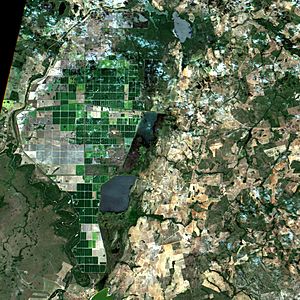Archivo:Irrigated rice plantation at Formoso do Araguaia, Brazil