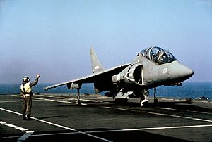 Archivo:Italian TAV-8B Harrier II