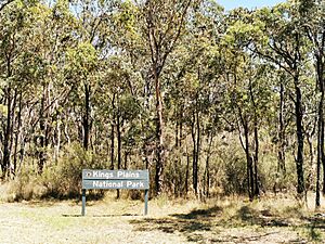 Archivo:Kings Plains National Park 01