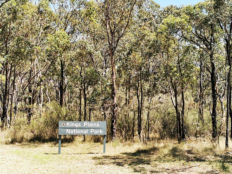Kings Plains National Park 01