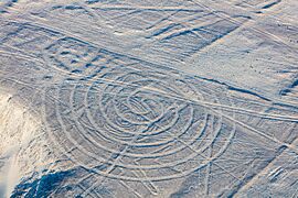 Líneas de Nazca, Nazca, Perú, 2015-07-29, DD 59