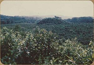 Archivo:Los Naranjos pyramid Honduras