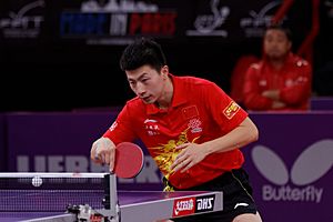 Archivo:Mondial Ping - Men's Singles - Round 4 - Ma Long-Koki Niwa - 11