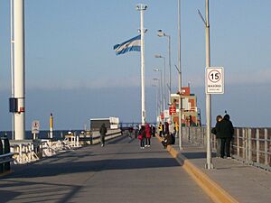 Archivo:Muelle pto. madryn