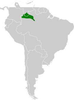 Distribución geográfica del hormiguerito gorgiamarillo.