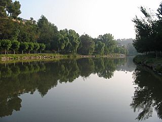 Navarcles - Parc del Llac.JPG