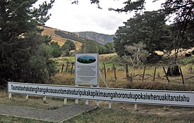 New Zealand 0577.jpg