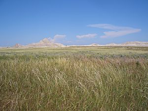 Archivo:Oglala National Grassland