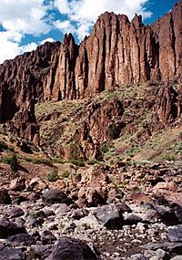 Archivo:Owyhee River Canyon