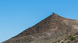 Archivo:Paraje en Salinas de Medinaceli, Soria, España, 2017-05-23, DD 08