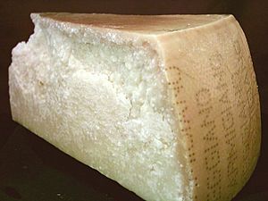 Archivo:Parmigiano reggiano piece