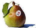 Poire Comice IGP Savoie