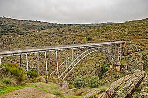 Archivo:Puente de Requejo