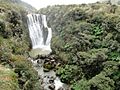 Putrace National Park (Columbia 1)