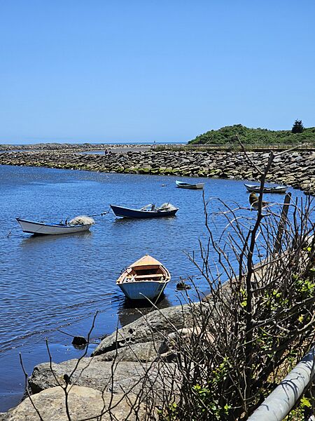Rio Tirúa